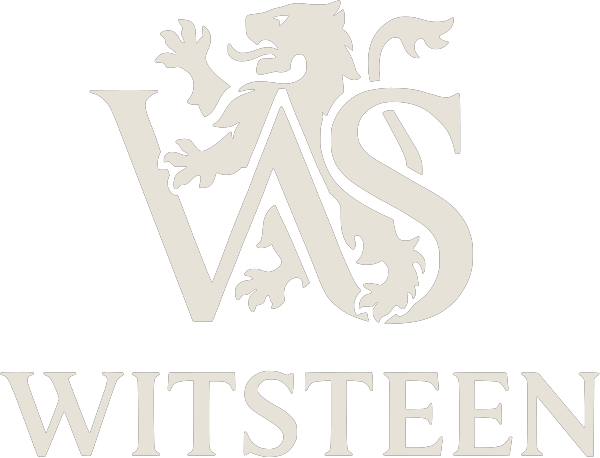 Witsteen